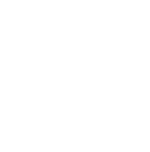 a moth image